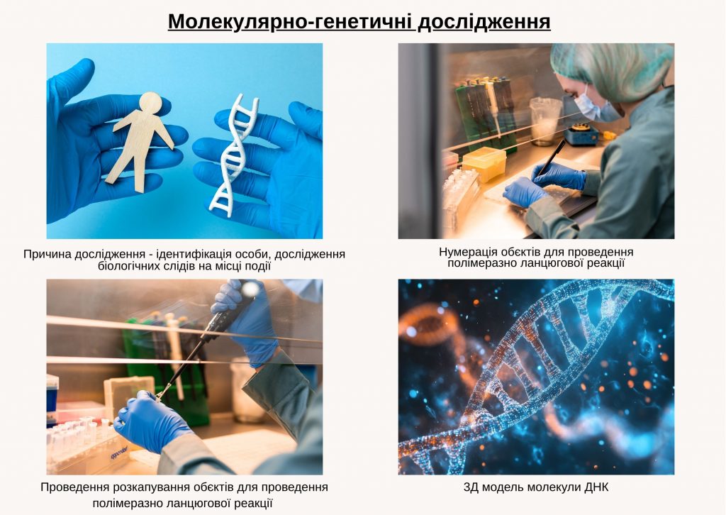 молекулярно-генетичні дослідження