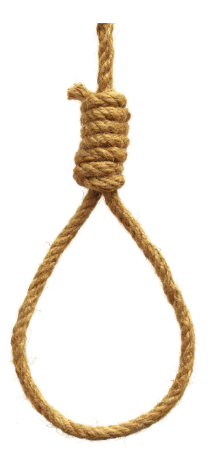 alt="Дослідження вузлів та петель "