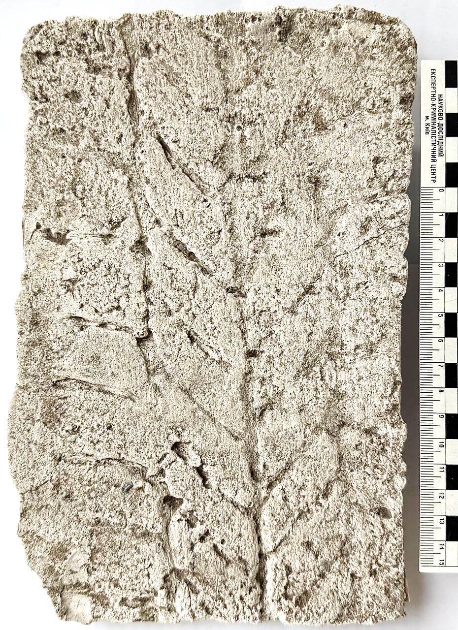 alt="Дослідження слідів транспортних засобів"