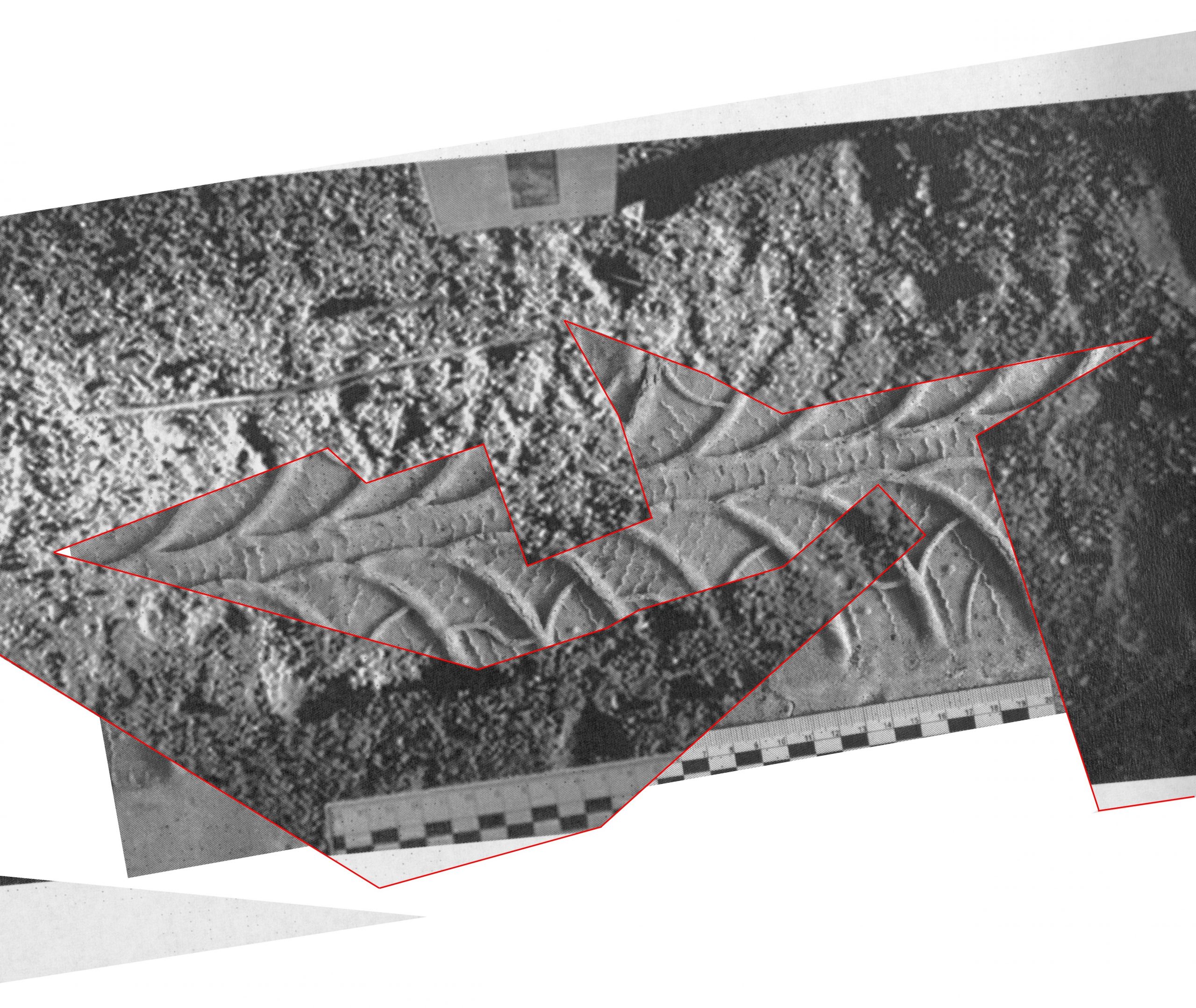 alt="Дослідження слідів транспортних засобів"