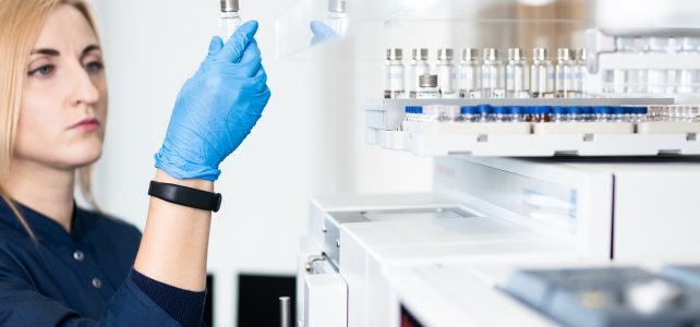 Новий рік розпочався