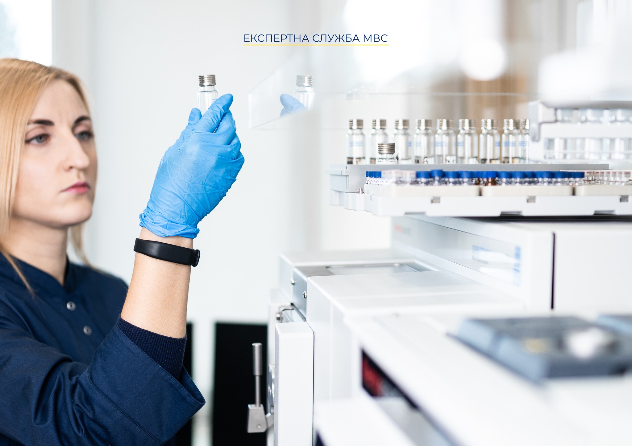 Новий рік розпочався